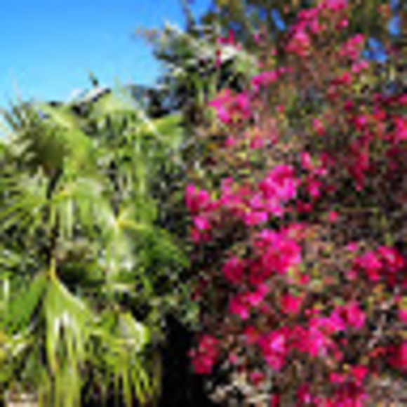 Meet your Posher, Lisa - Picture 1 of 1